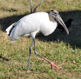 DSC_1922b.JPG