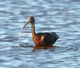DSC_2164b.JPG