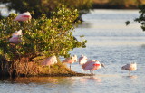 DSC_2296b.JPG