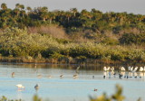 DSC_2319b.JPG
