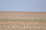 DSC_2139.JPG