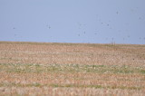 DSC_2143.JPG