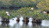 DSC_0414b.JPG