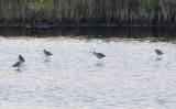 DSC_0493b.JPG