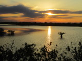 IMG_6373b.JPG