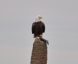 DSC_0096b.JPG