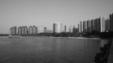 P2290027s.jpg