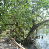 Taguines Lagoon   DSC_8923.JPG