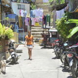 _DSC4514.jpg A walk on the wild side ...