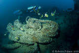 Thistlegorm-4