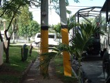 DSCF0101.JPG
