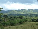DSCF0105.JPG