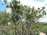DSCF0114.JPG