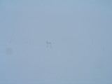 DSCF1106.JPG