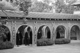 Timeless - Monks walking to prayer