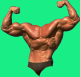 torso male S.jpg