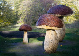 Giant Mushrooms