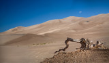 Great Sand Dunes NP Colorado.jpg