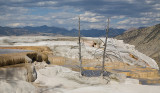 Yellowstone