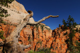 Zion III
