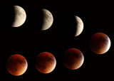 9/27/2015 Lunar Eclipse Composite
