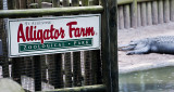 Alligator Farm Zoo