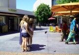 Farmer´s Market