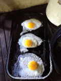 Fried Eggs MD.jpg