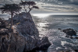 Lone Cypress Pebble Beach MU.jpg