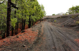 Walking on La Palma, Canary Islands.