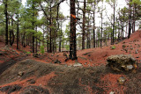 Walking on La Palma, Canary Islands.