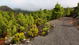 Walking on La Palma, Canary Islands.