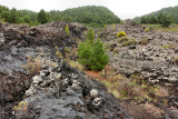 Old lava flow (1949).