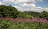 A view of the Malvern Hills, Worcestershire.