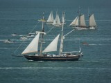 YOUNG ENDEAVOUR
