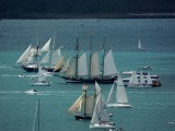 OOSTERSCHELDE and Locals