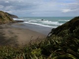 Muriwai Beach