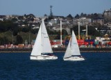 Yachts in August