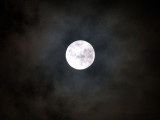 Full Moon 1