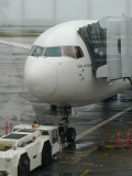 Auckland Airport 3