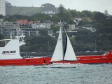 Car Ferry and Yacht