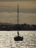 The Mooring