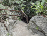 OI000289.jpg