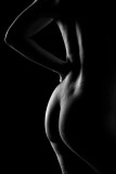 Bodyscapes 18 and Over