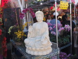 Flower Market 2 - Bao Ha