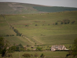  Farming - do not vote Closed - Michael