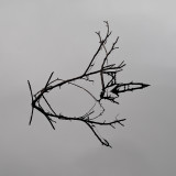 2nd Place - Twigs _ by Dennis