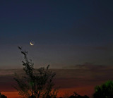 parking lot moonrise dawn