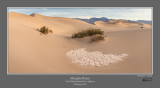 Mesquite Dunes 2.jpg