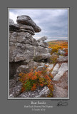 Bear Rocks Crevice Fall 2014.jpg